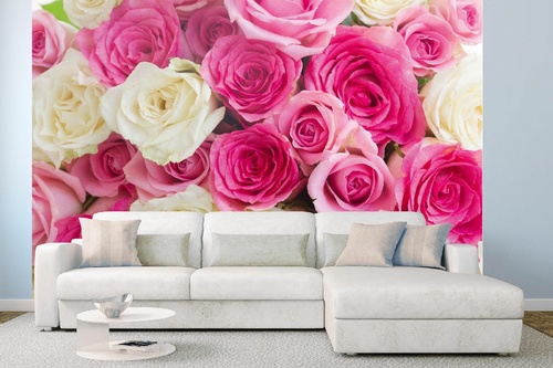 Vlies Fototapete - Rosa und weiße Rosen 375 x 250 cm